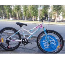 Велосипед Discovery Flint 24 2019 (6 скоростей) бело-голубой с розовым