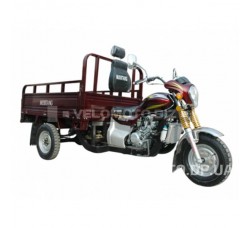 Мотоцикл грузовой MUSSTANG MT250T-4V